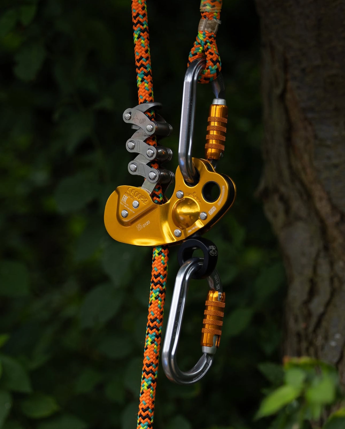 Petzl ZigZag Plus & 2 x Petzl AM'D Carabiners